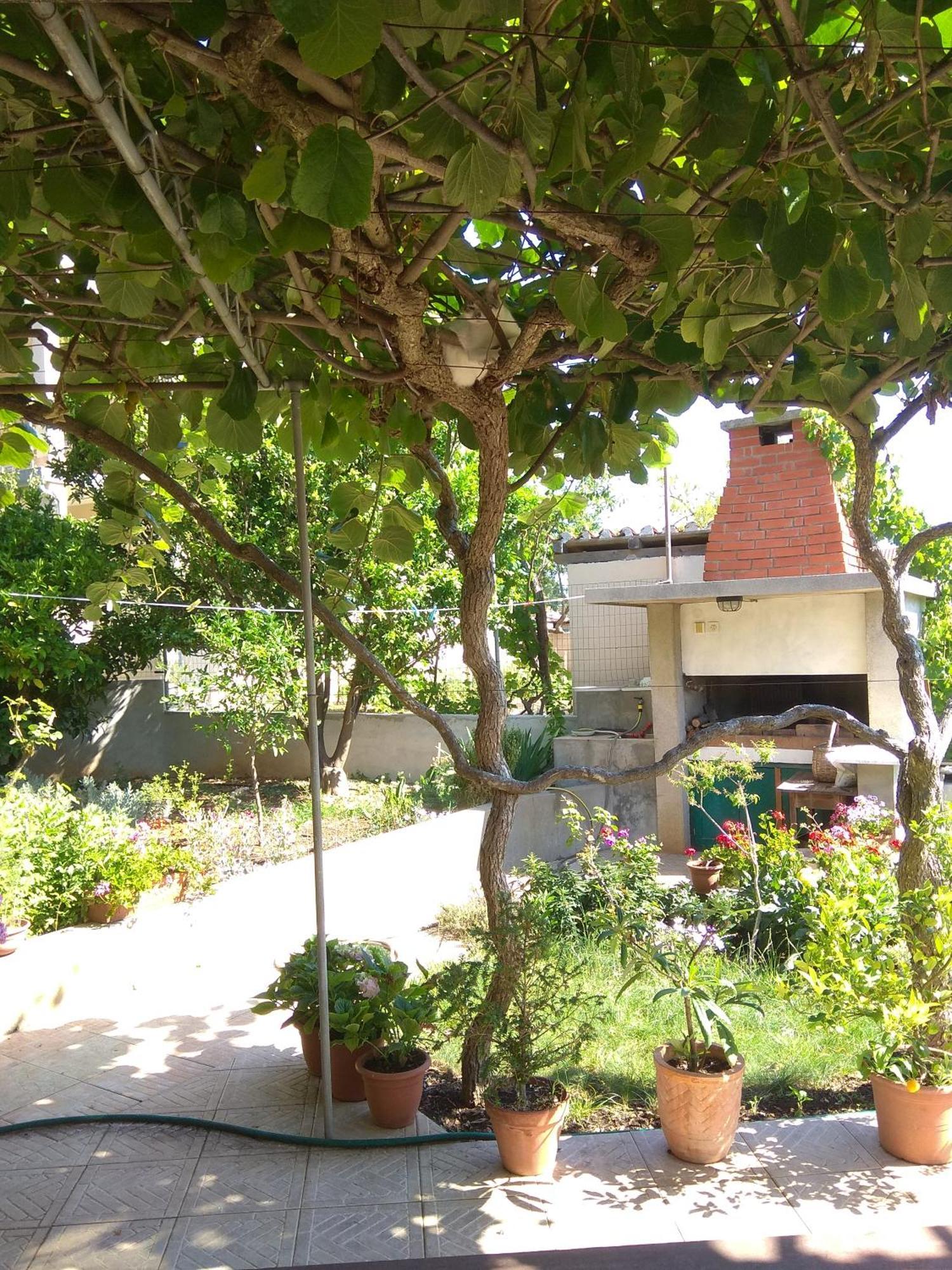 Villa Katarina Losinj Island Mali Losinj Ngoại thất bức ảnh