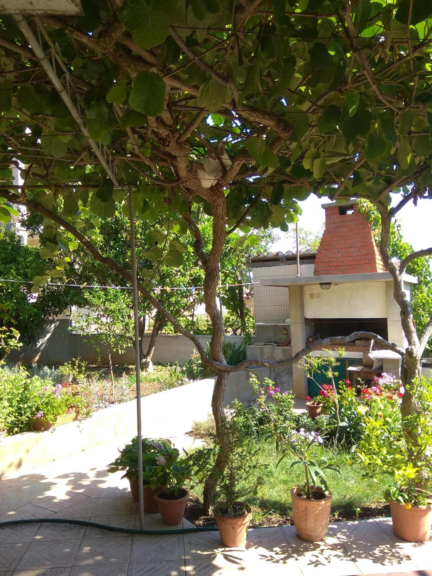 Villa Katarina Losinj Island Mali Losinj Ngoại thất bức ảnh