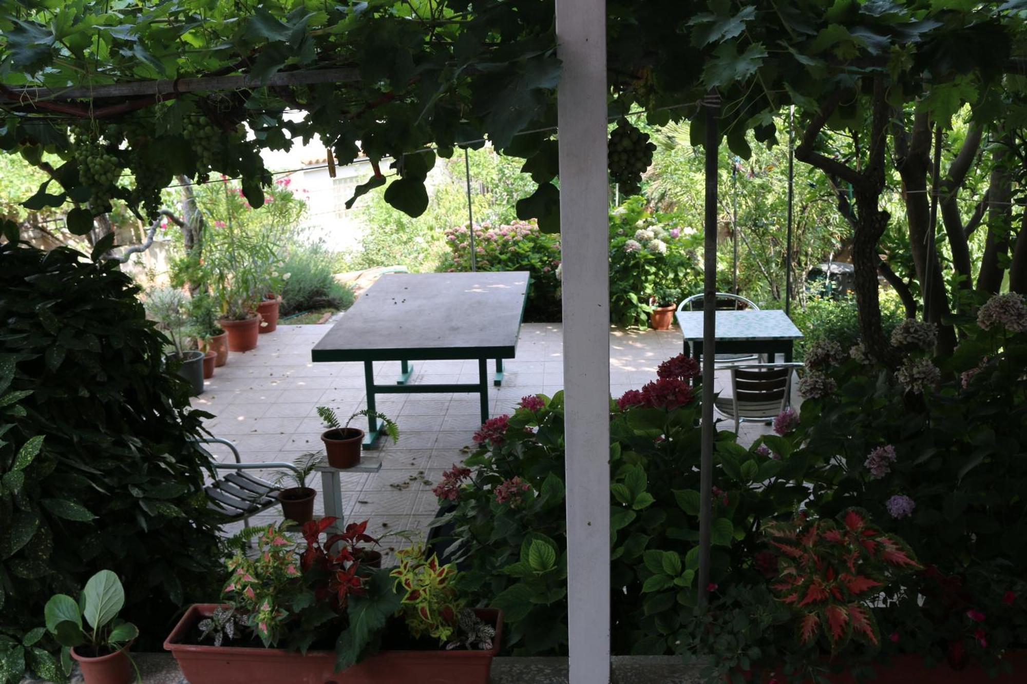 Villa Katarina Losinj Island Mali Losinj Ngoại thất bức ảnh