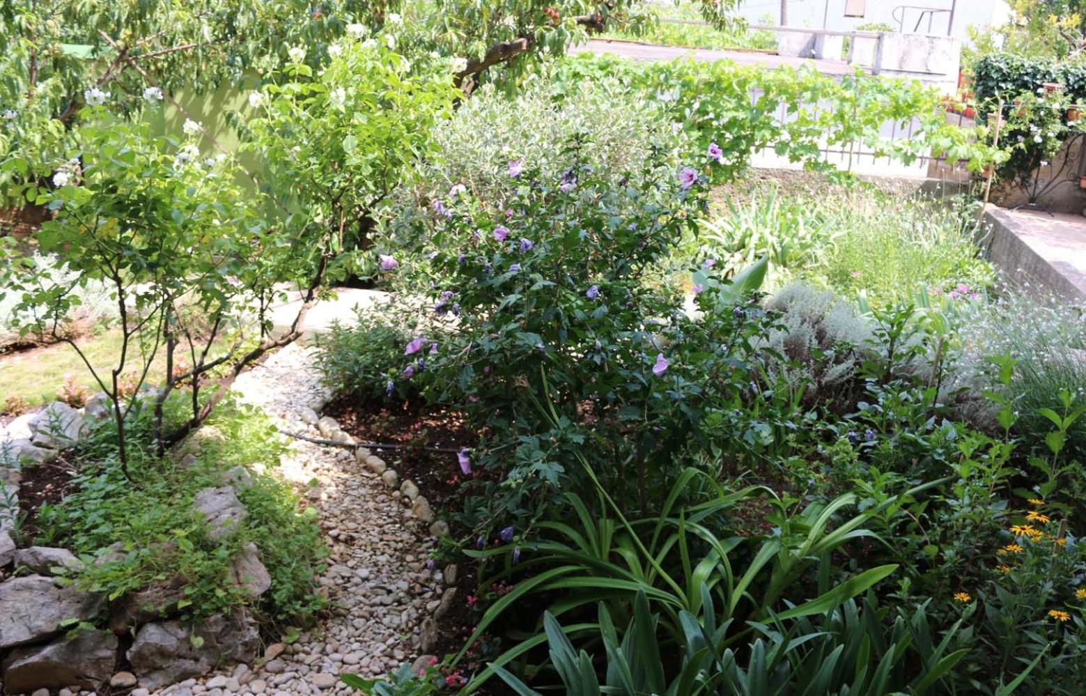 Villa Katarina Losinj Island Mali Losinj Ngoại thất bức ảnh